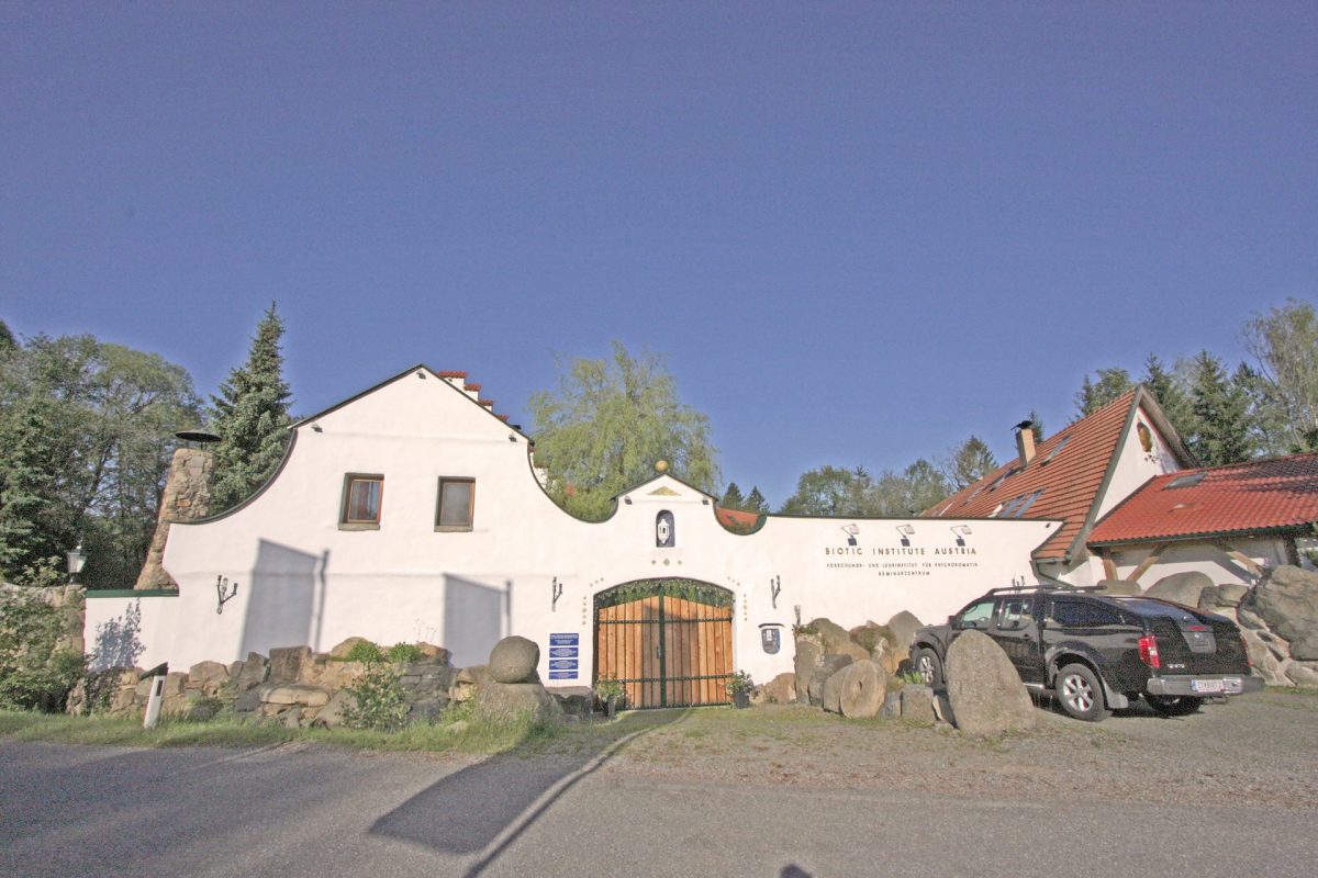 el_molino_vorderansicht4